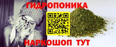 прущие грибы Ликино-Дулёво