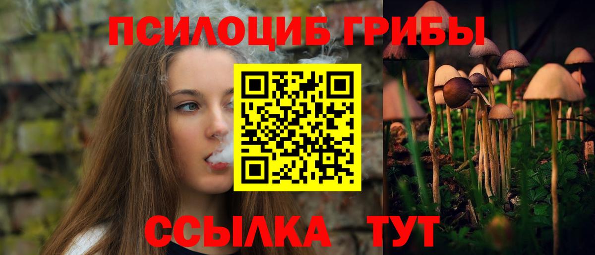 где найти наркотики  Галлюциногенные грибы мухоморы  Ивантеевка  Вход с VPN  Псилоцибиновые грибы Psilocybine cubensis 